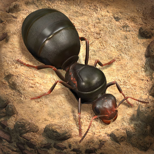 ザ・アンツ(The Ants)を実際にプレイしてレビューした記事のアイキャッチ画像